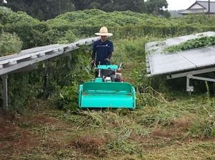 除草作業