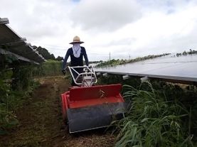 除草作業